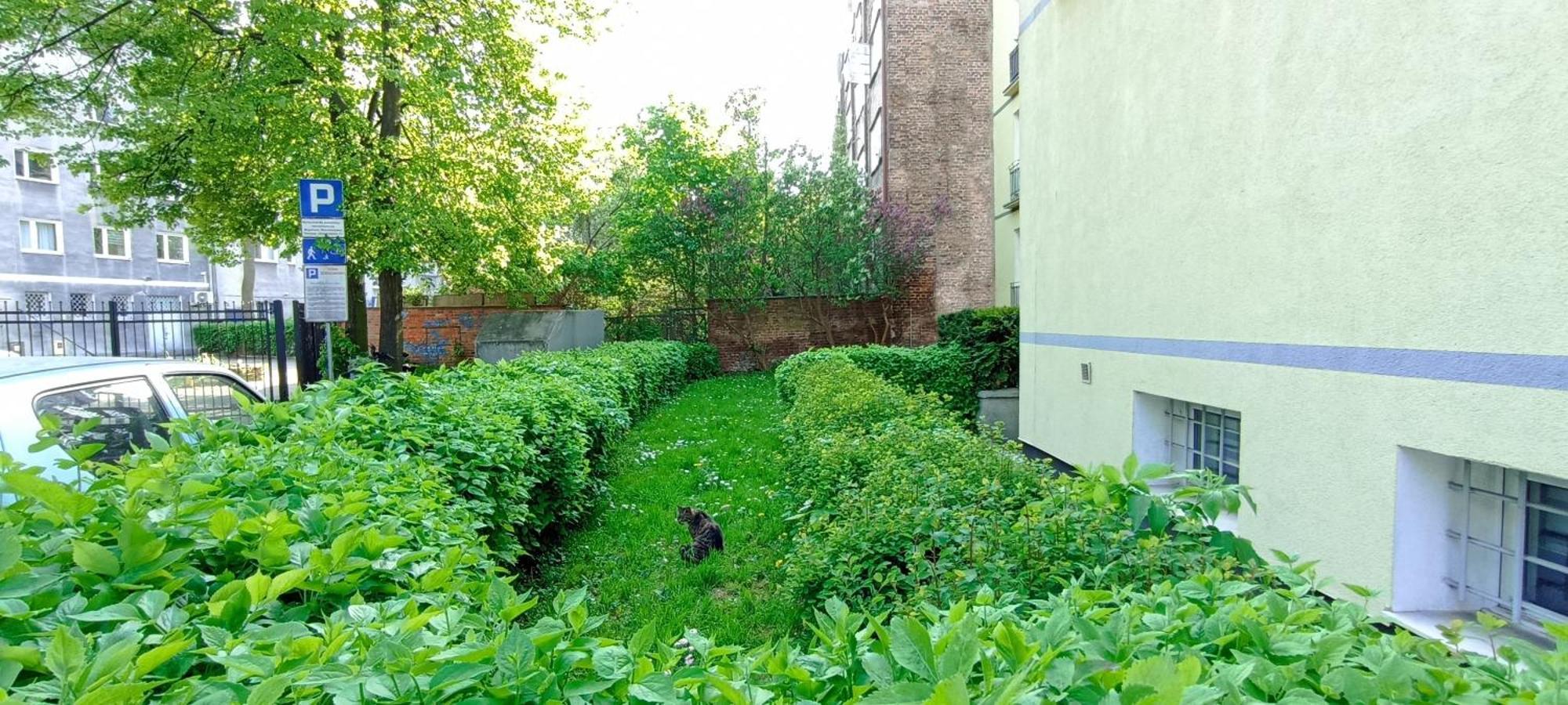 Katarzynka Gdansk Stare Miasto Zewnętrze zdjęcie